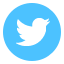 Twitter Round icon