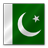 Pakistan flag-48