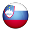 Flag of Slovenia icon
