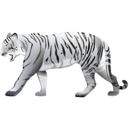 White tiger-256