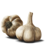 Garlic cloves icon