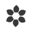 Black Flower icon