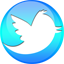 Twitter Sphere icon