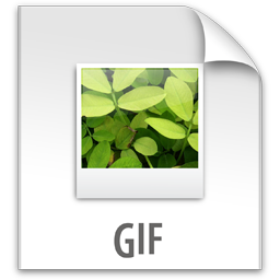 File GIF