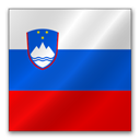 Slovenia flag-128