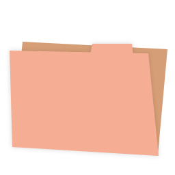 Carton folder