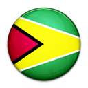 Flag of Guyana-128