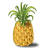 Pineapple-48