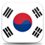 Flag of South Korea Icon