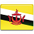 Brunei Flag-48