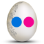 Flickr Egg icon