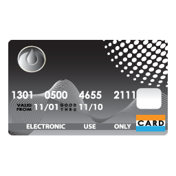 Shopping Credit Card-256
