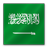 Saudi Arabia flag-48