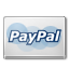 PayPal payment icon