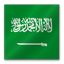Saudi Arabia flag Icon