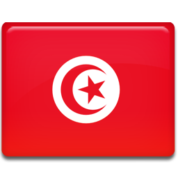 Tunisia Flag-256