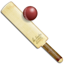 Cricket-128