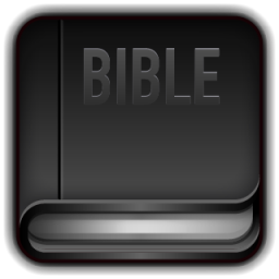Bible-256
