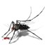 Mosquito-64