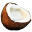 Coconut-32