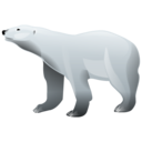 Polar bear-128
