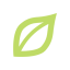 Green Leaf icon