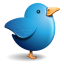 Twitter blue bird Icon