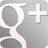 GooglePlus Grey-48