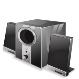 Speaker system-256