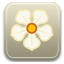 Magnolia logo Icon