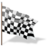 Checkered flag-48