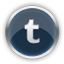 Chrome Tumblr icon