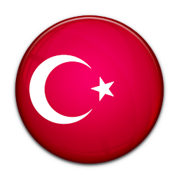 Flag of Turkey-256