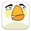 Angry Birds White icon
