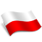 Poland Polska Flag-48