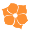 Illustrator orange icon