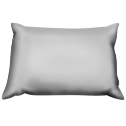 Pillow-256