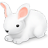 Bunny-48