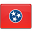 Tennessee Flag-32