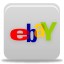 Pretty Ebay Icon