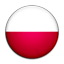 Flag of Poland icon