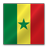 Senegal Flag-48