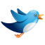 Twitter blue birdie Icon