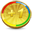 Google Plus One Coin-32