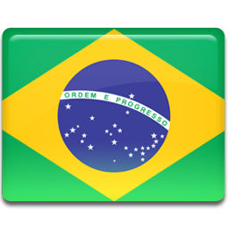 Brazil flag-256