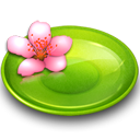 Plate Flower
