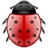 Bug-48