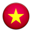 Flag of Vietnam icon