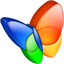 MSN explorer icon