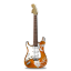 Stratocastor Guitar Flowers Icon